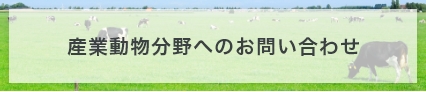 産業動物分野へのお問い合わせ